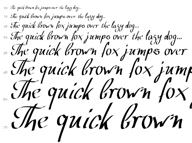Wolgast Script font waterfall